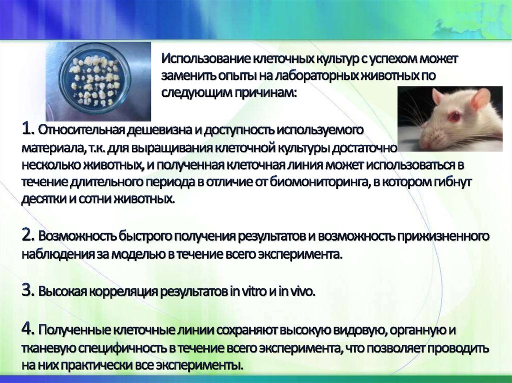 Использование клеточных культур с успехом может заменить опыты на лабораторных животных по следующим причинам: 1. Относительная дешевизна