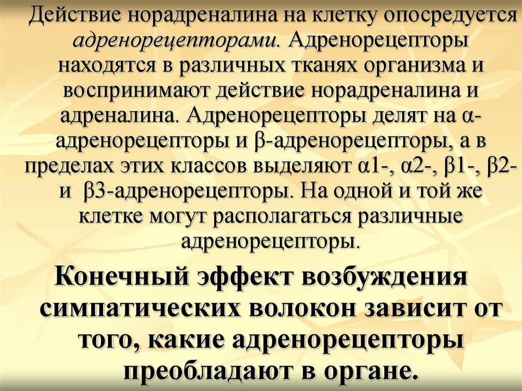 Опосредуется это. Норадреналин действие на адренорецепторы. Опосредоваться это.