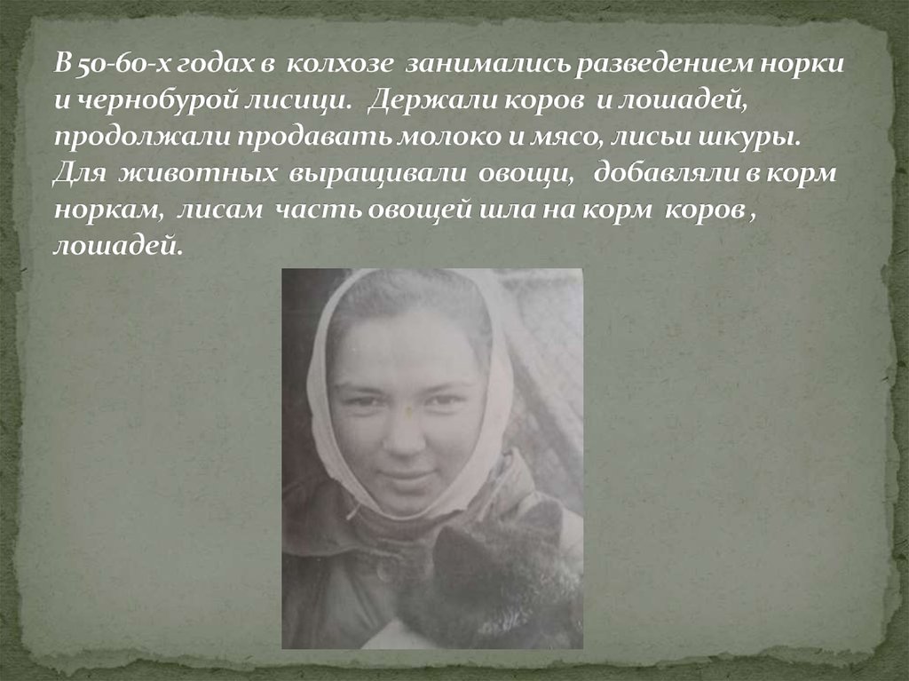 В 50-60-х годах в колхозе занимались разведением норки и чернобурой лисици. Держали коров и лошадей, продолжали продавать