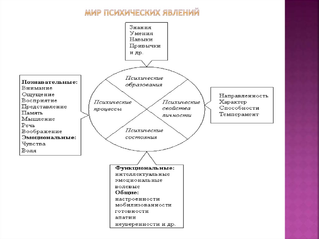 Структура психических явлений. Мир психических явлений человека.