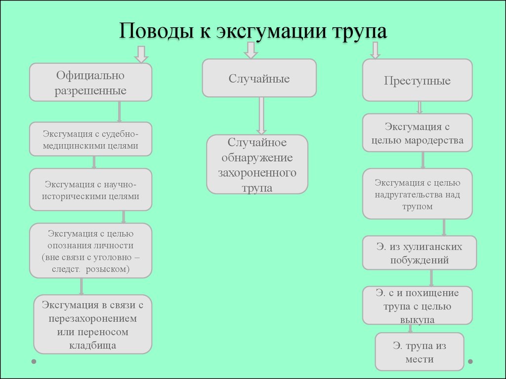 Протокол эксгумации образец для поисковых отрядов