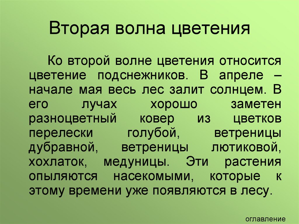 Характеристика Дубравы. Растения и животные Дубравы. Ветроопыляемые растения. Дубрава биология.