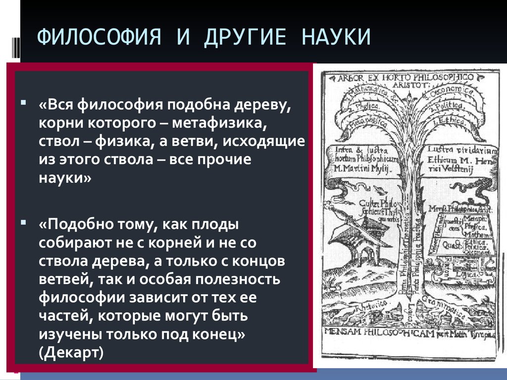 Другим наука. Дерево философии. Дерево наук Декарта. Дерево философия и наук. Дерево философов.