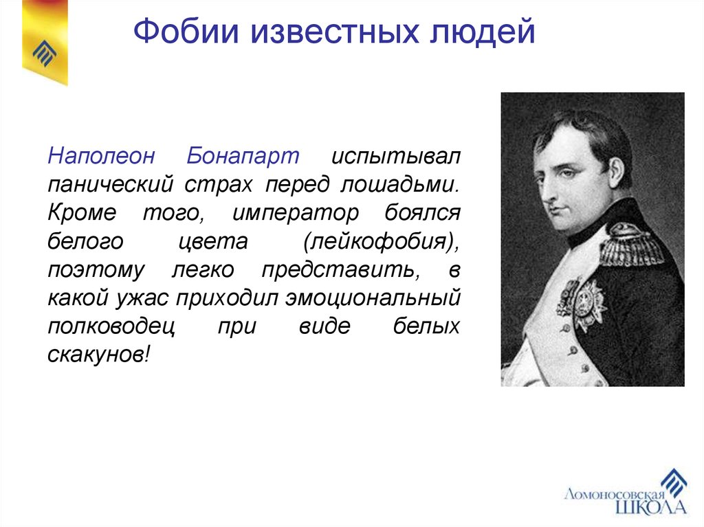 Личность наполеона и его роль в истории. Личность Наполеона Бонапарта. Наполеон фобии. Очень интересные факты о Наполеоне Бонапарте. Личность Наполеона в истории.