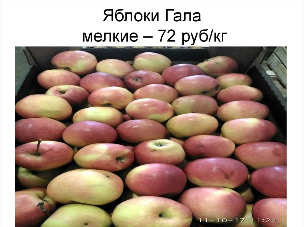 Яблоки Гала мелкие – 72 руб/кг