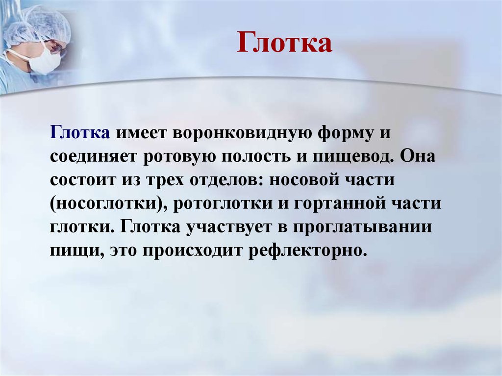 Термин 20. Глоссарий по анатомии и физиологии человека. Глоссарий по анатомия, физиология и патологии. Глоссарий основных терминов по возрастной анатомии. Глоссарий 20 терминов основы анатомии физиологии патологии.