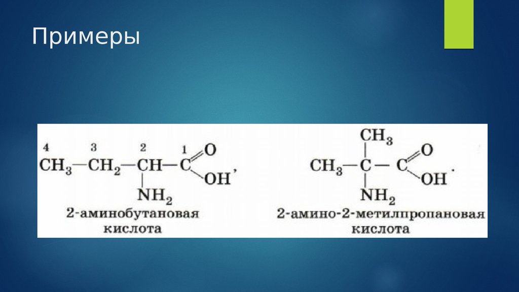 Формула 2 аминобутановой кислоты. 4 Аминобутановая кислота формула. 3 Аминобутановая кислота. Аминобутановая кислота формула. 2 Аминобутановая кислота.