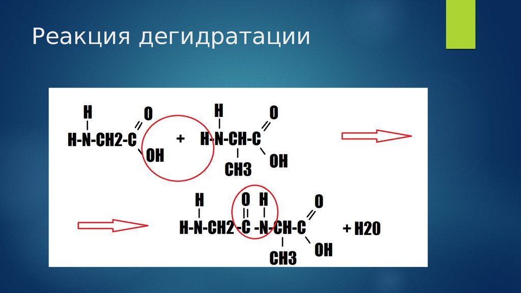 Дегидратация бутана. Реакция дегидратации. Механизм дегидратации. Дегидратация аминокислот. Механизм реакции дегидратации.