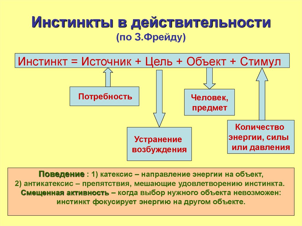 Основный инстинкты. Инстинкты человека список. Основные инстинкты человека по Фрейду. Структура инстинкта по Фрейду. Основные инстинкты человека по Фрейду список.