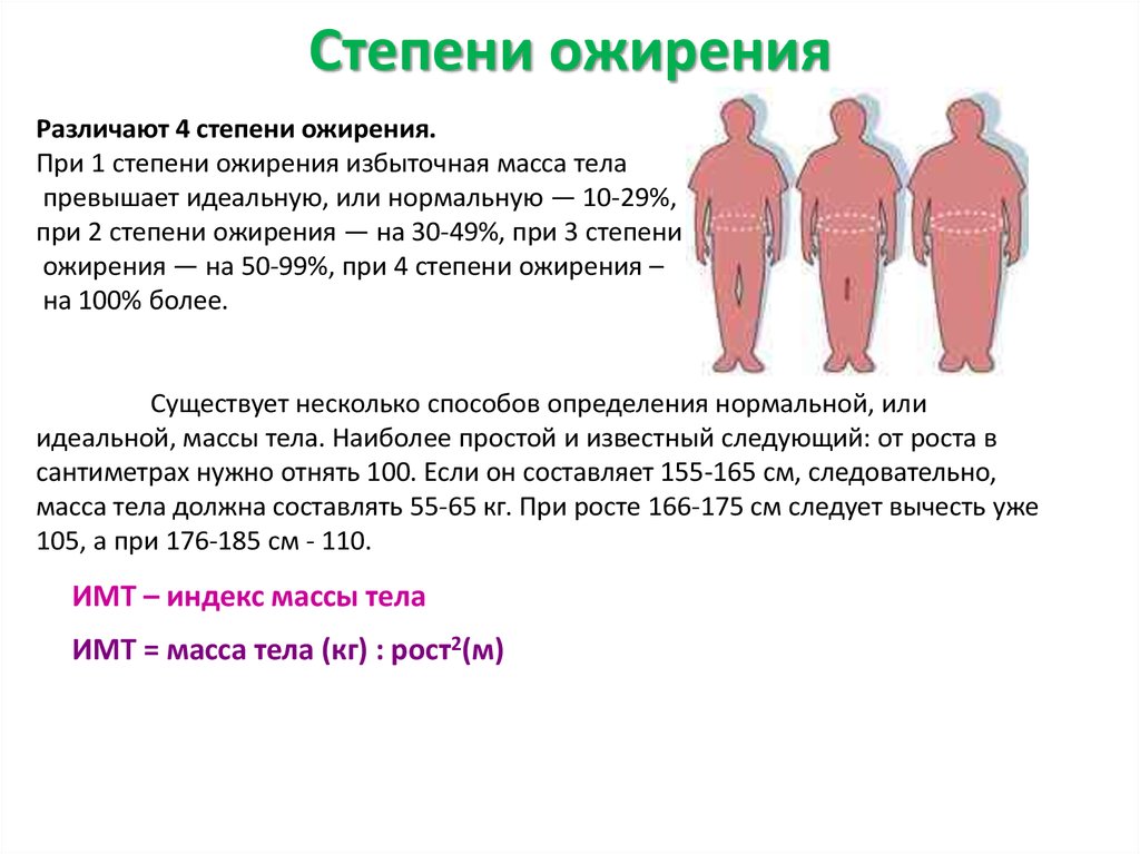 2 стадия ожирения