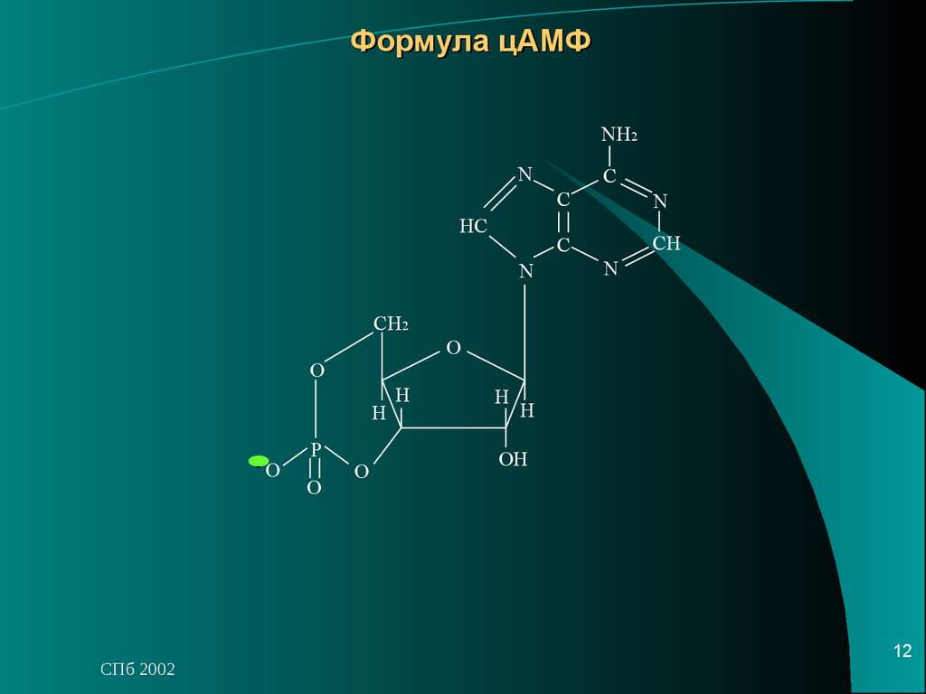 Формула спб. ЦАМФ структурная формула. 3 5 ЦАМФ формула. Циклический аденозинмонофосфат формула. ЦАМФ формула биохимия.