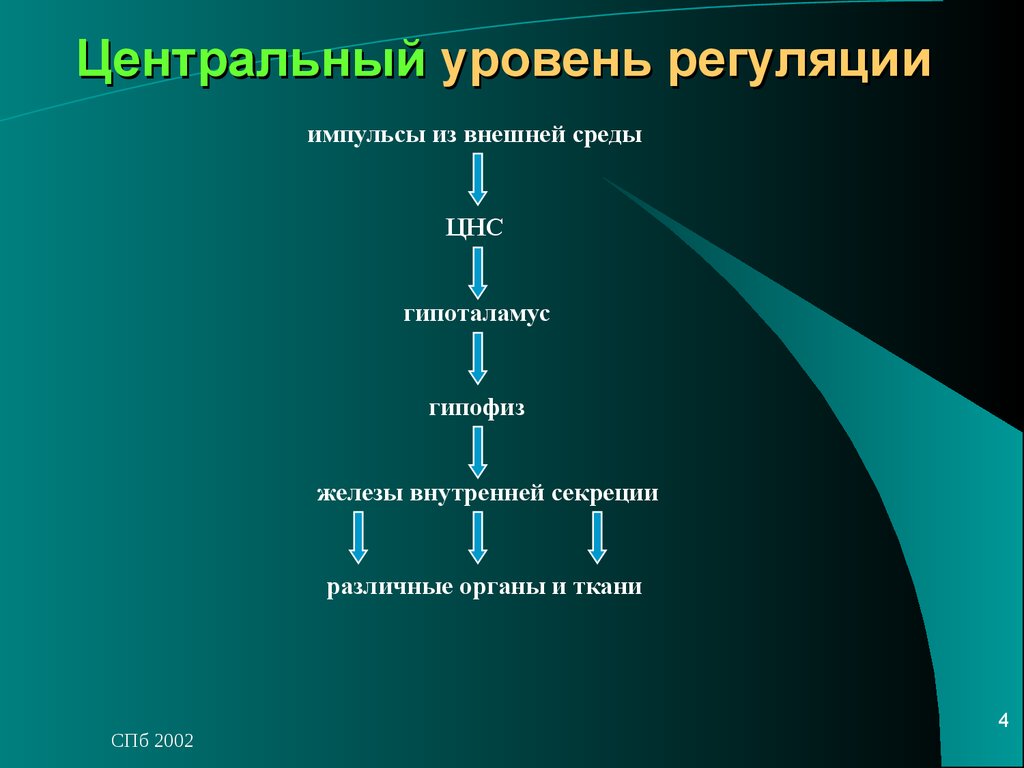 Регуляция тканей. Уровни центральной регуляции. Низший уровень регуляции. Центральный уровень. Регуляция, уровни регуляции.