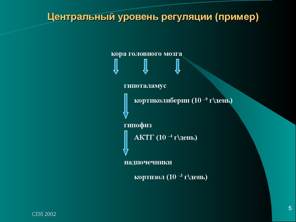 Регуляция действия. Центральный уровень. Уровни центральной регуляции. Уровни регуляции примеры. Уровни регуляции и интеграции метаболизма.