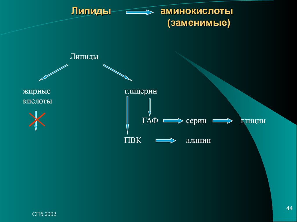 Липидов кислота. Аминокислоты липиды. Превращение липидов. Превращение аминокислот в липиды. Превращение аминокислот в углеводы.