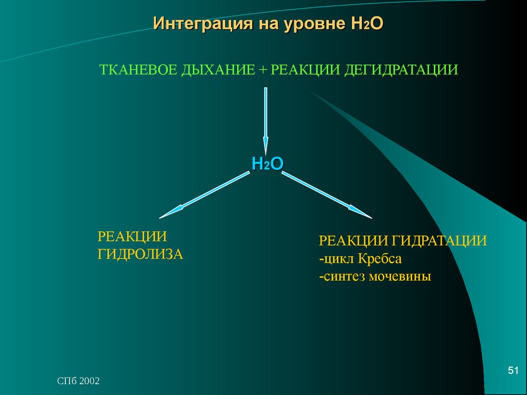 Н уровень. Тканевое дыхание реакции. Уровни регуляции и интеграции метаболизма. Интеграция и регуляция обмена веществ. Интеграция обмена веществ и его регуляция биохимия.