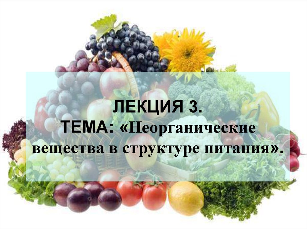 Питание неорганическими веществами. Неорганические вещества в пище. Неорганические продукты питания. Питаются неорганическими веществами. Неорганические вещества в продуктах питания.