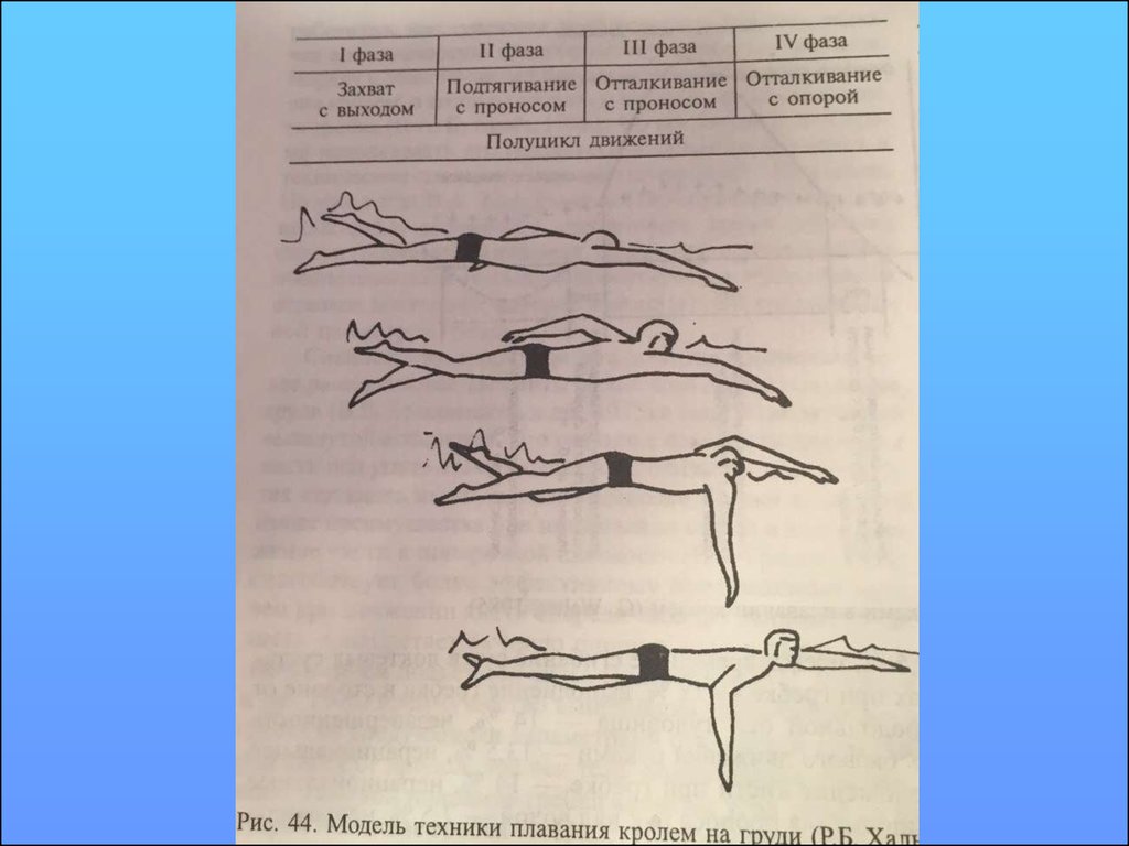 Фазы подтягиваний. Фазы плавания кролем на груди. Кроль на груди фазы. Подтягивание в плавании. Фаза отталкивания в плавании кролем на груди.