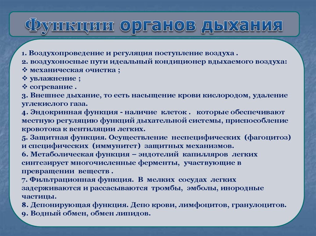 Поступление воздуха. Органы воздухопроведения. Система воздухопроведения. Воздухопроведение и регуляция поступления. Строение органов воздухопроведения.