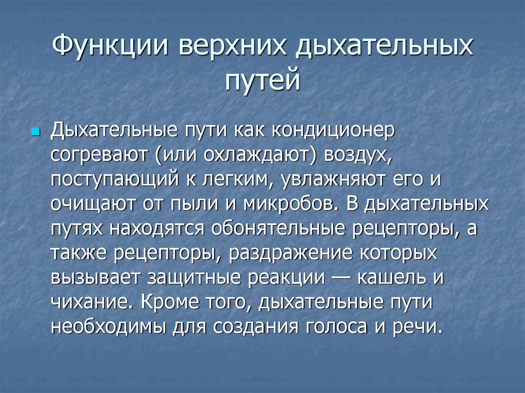 Роль дыхания. Функции верхних дыхательных путей. Значение верхних дыхательных путей. Основные функции дыхательных путей. Основные функции верхних дыхательных путей.