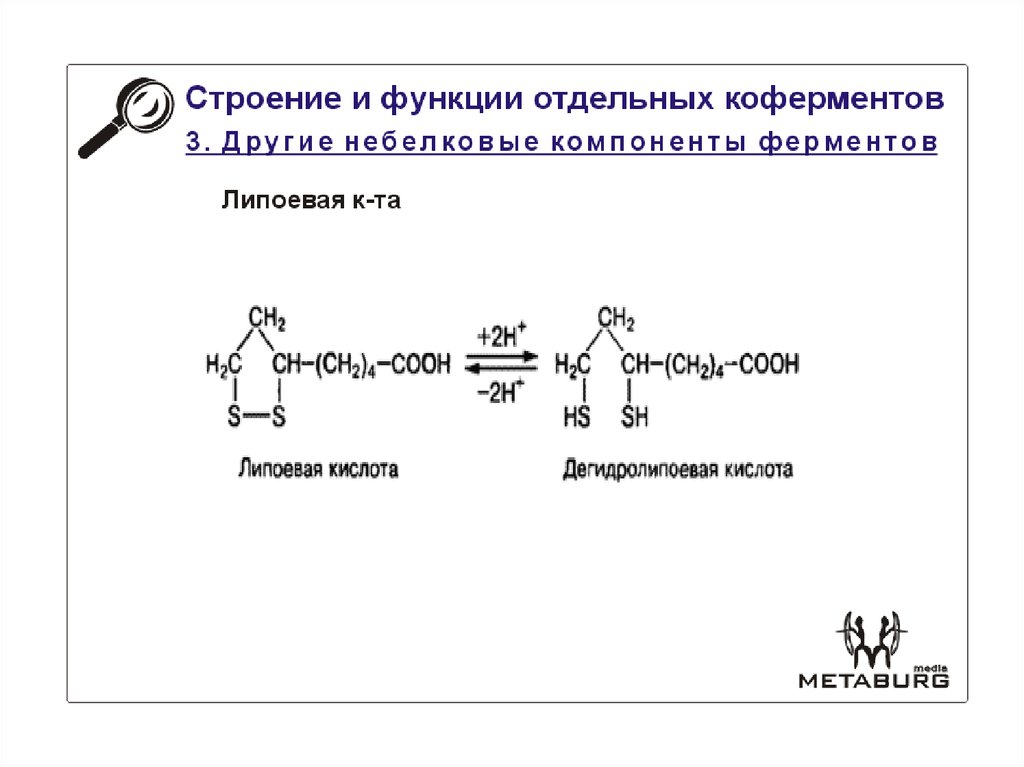 Какие основные функции менеджмента. Классификация белков по химическому строению. Функцилг структура управления предприятием. Отдельные функции и структуры. Функция состав функции.