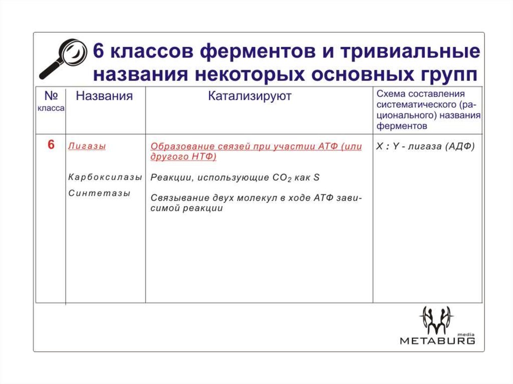 1 класс ферментов. 6 Основных классов ферментов. Классы ферментов биохимия. Тривиальные названия ферментов. Классы ферментов таблица.