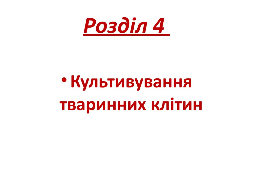 Розділ 4