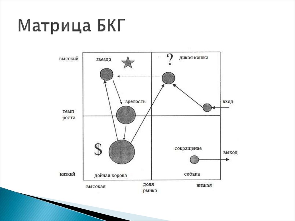 Матрица бкг презентация