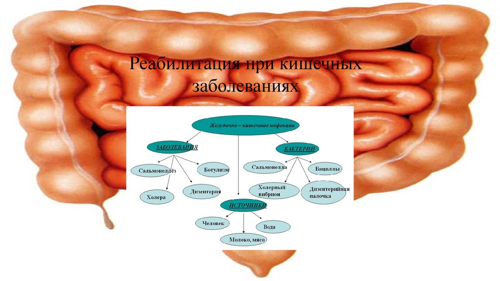 Кишечное расстройство. Реабилитация при заболеваниях кишечника. Реабилитация при кишечных инфекциях. Реабилитация при кишечных инфекциях у детей. Кишечные инфекции реабилитация.