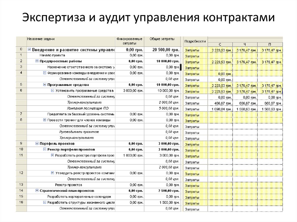 Реестр проектов с защитой инвестиций