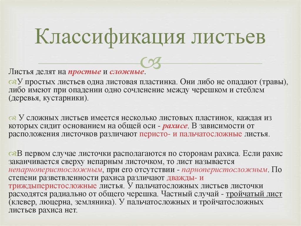 Классификация ф. Классификация листьев. Классификация простых и сложных листьев. Классификация листовых. Лист классификация листьев.