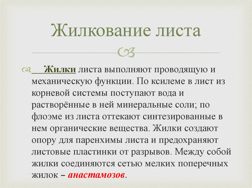 Листья выполняют функции. Жилки листа выполняют функции. Функции жилок листа. Жилки листьев функции. Какую функцию выполняют жилки листа.