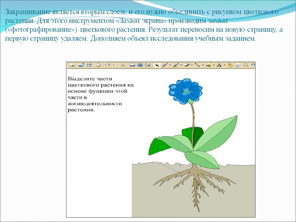 Основа цветка 9. Цветы итоги.