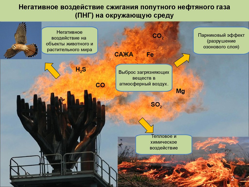 Рациональное сжигание газа. Влияние природного газа на окружающую среду. Влияние нефти на окружающую среду. Влияние добычи газа на окружающую среду. Влияние нефтяной отрасли на окружающую среду.