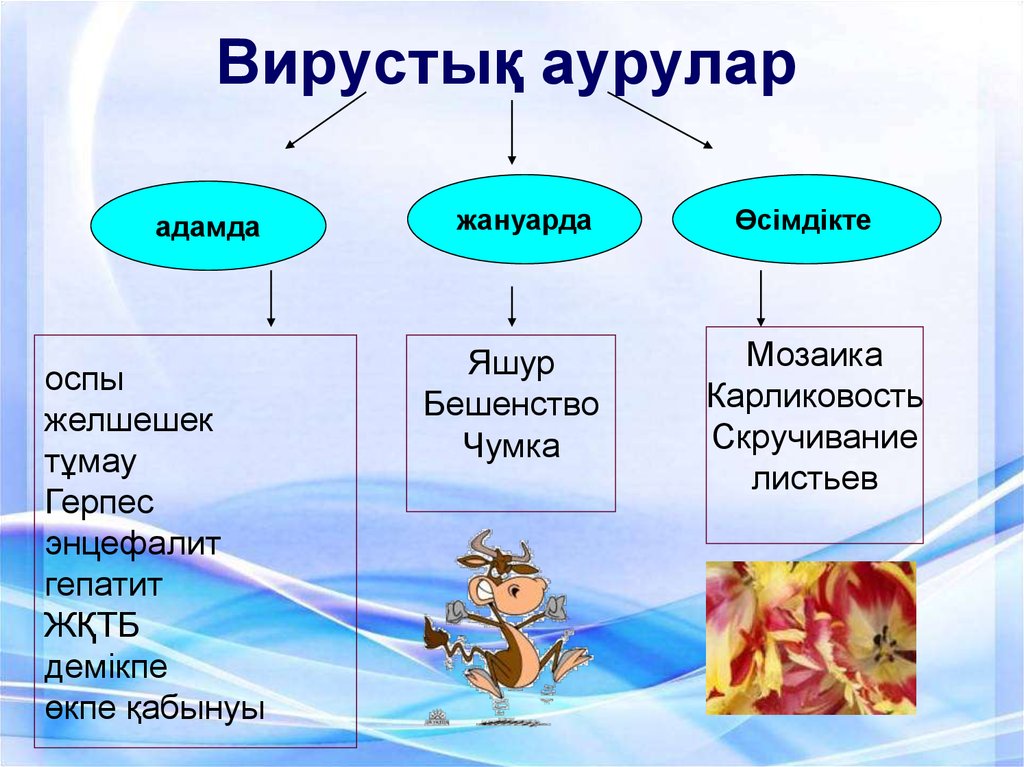 Ауру тудыратын бактериялармен күресу тәсілдері презентация