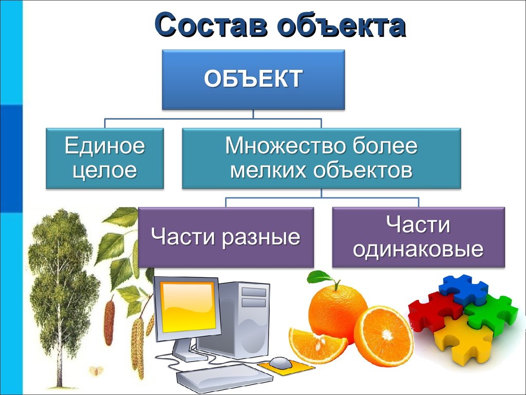 Проект по информатике 6 класс объект окружающего мира