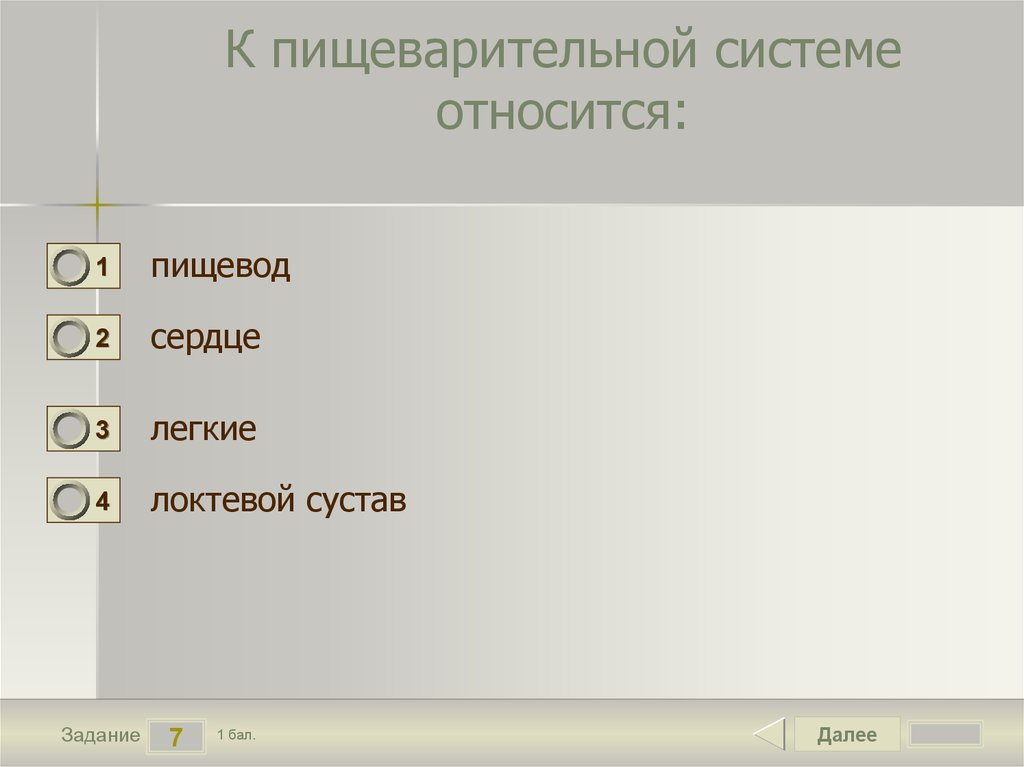 К пищеварительной системе относится: