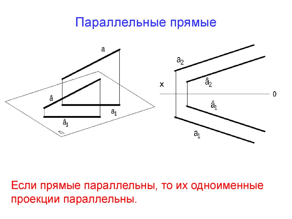 Изобразите 2 параллельные прямые. Параллельные прямые Начертательная геометрия. Параллельность прямых Начертательная геометрия. Две параллельные прямые в начертательной геометрии. Проекция двух параллельных прямых.