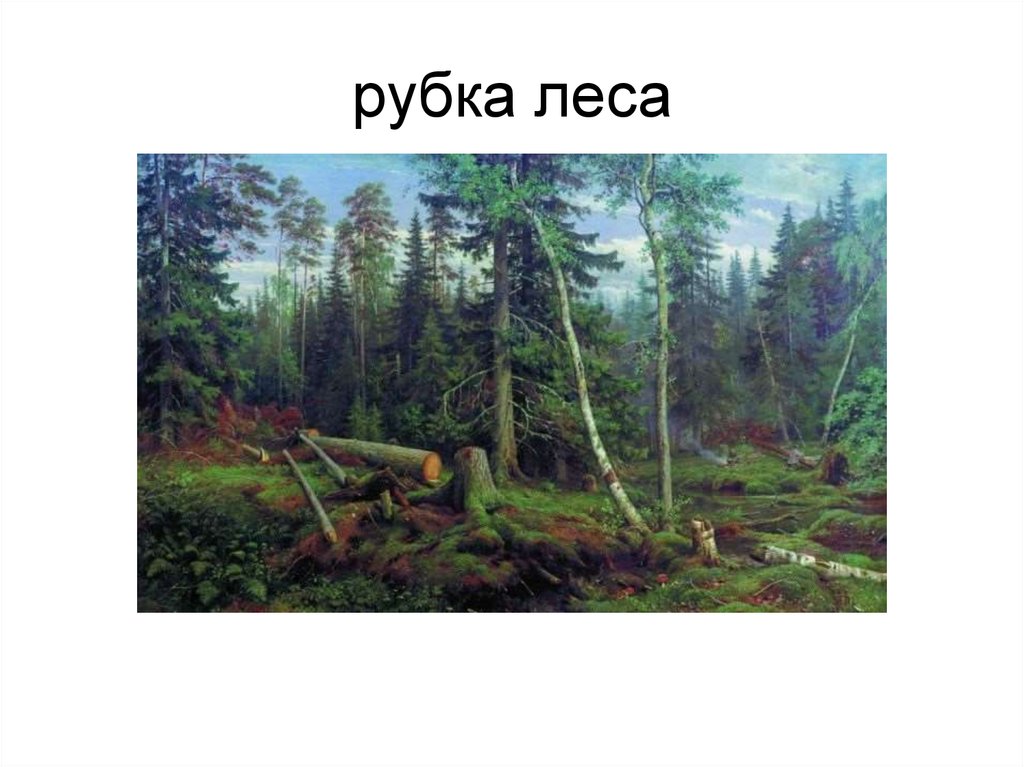 Картина рубка леса