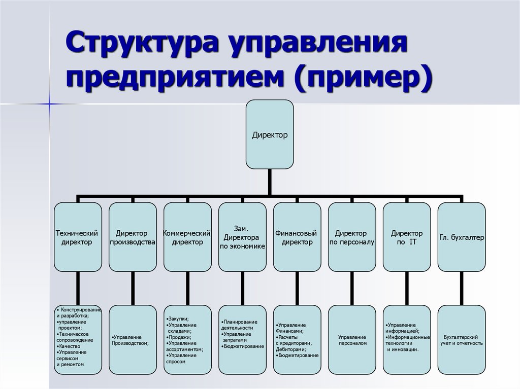 Функциональная структура управления проектами в организации