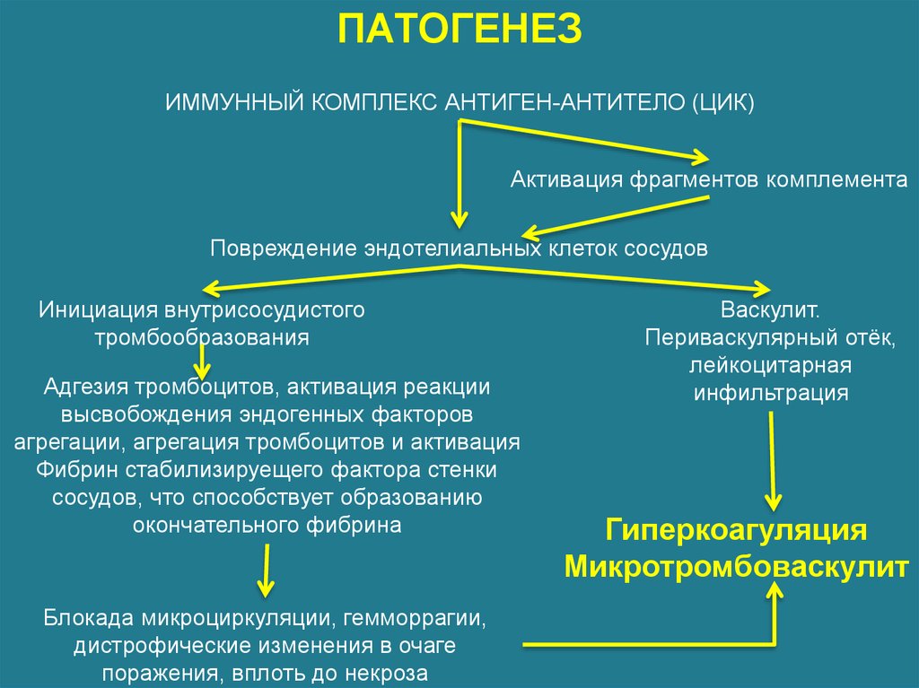 Системные васкулиты презентация терапия