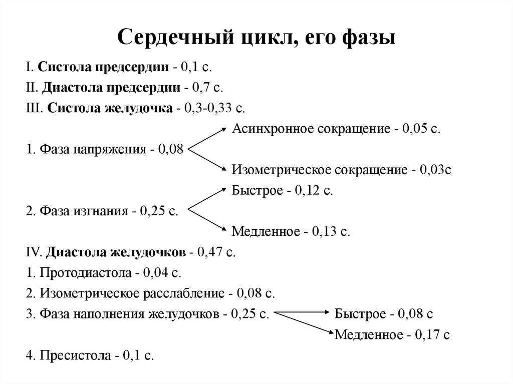 Фазы сердечного цикла схема