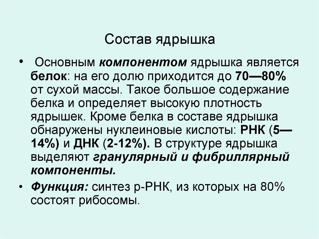 Главным компонентом ядра являются. Химический состав ядрышка. Состав ядрышка. Химические компоненты ядрышка:. Состав компонента ядрышка.