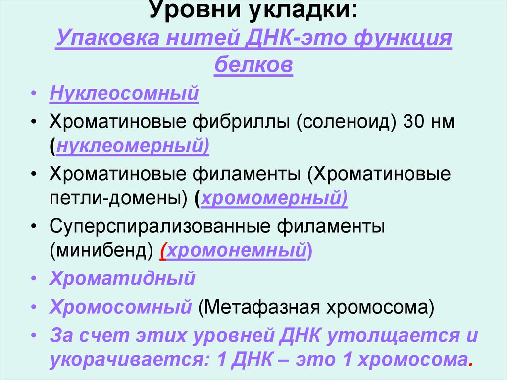 Уровни днк. Уровни укладки ДНК. Хромомерный уровень укладки ДНК. Уровни укладки ДНК В составе ДНК протеинов. Нуклеомерный уровень функции.