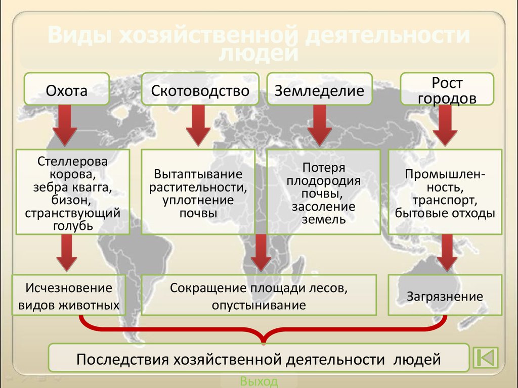 Презентация последствия хозяйственной деятельности человека 9 класс биология