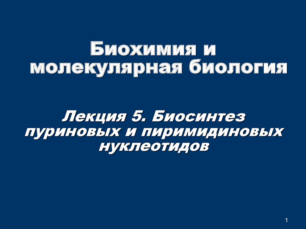 Конференции биохимии. Молекулярная биология лекция 10. Биосинтез пиримидиновых нуклеотидов биохимия. Лекции по биохимии ПГМУ.