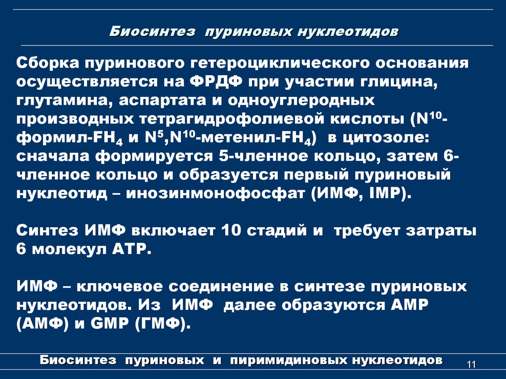 Перечислите функции нуклеотидов. Роль пуриновых нуклеотидов в организме. Функции пуриновых нуклеотидов. Пуриновые нуклеотиды роль. Биосинтез пуриновых нуклеотидов.