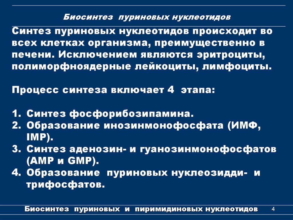 Этапы синтеза нуклеотидов. Биосинтез пуриновых оснований биохимия. Биосинтез пуриновых нуклеотидов. Основные этапы синтеза пуриновых нуклеотидов. Ретроингибирование Синтез пуриновых нуклеотидов.