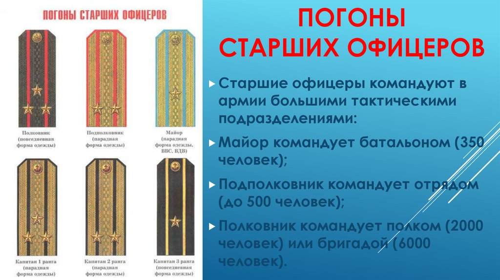 Звания на флоте в россии по порядку погоны фото с названиями