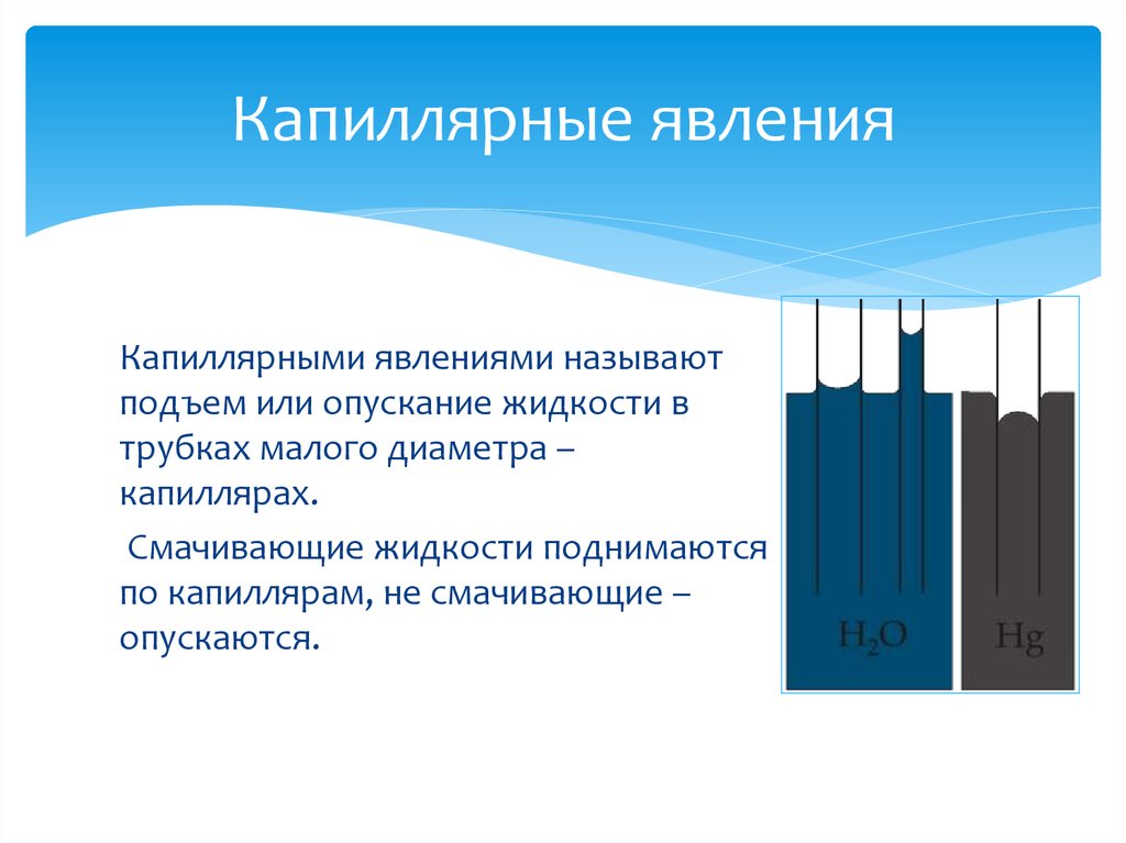 Капиллярная жидкость. Капиллярные явления. Капиллярное явление в строительстве. Капиллярные явления в быту. Капиллярные явления в технике.