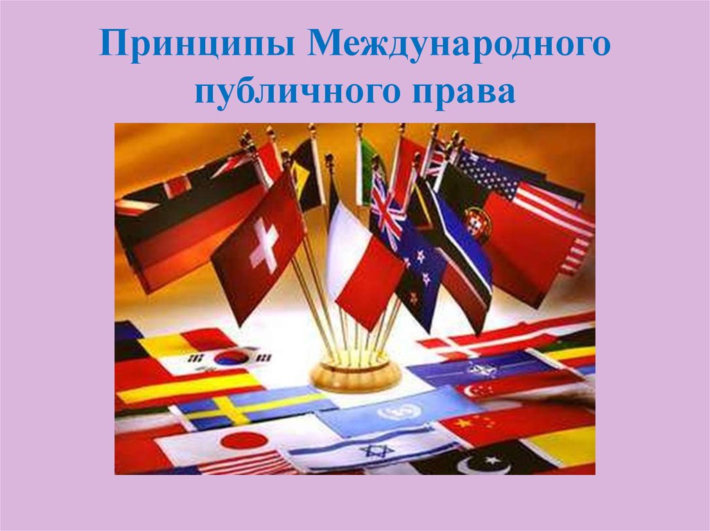 Международный государственный. Основные принципы международного права картинки для презентации. Международное публичное право картинки. Отрасли международного права картинки. Международное публичное право картинки для презентации.